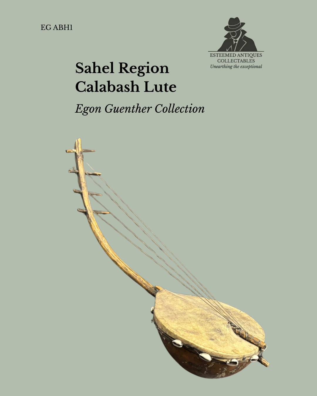 Small West African calabash lute with hide sound-table, wood neck and cowrie shell mounts, 20th century.