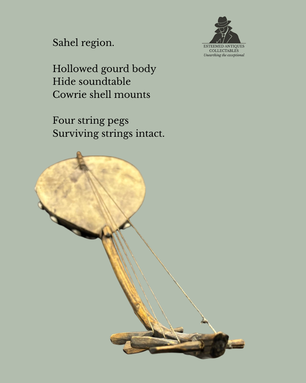 Small West African calabash lute with hide sound-table, wood neck and cowrie shell mounts, 20th century.