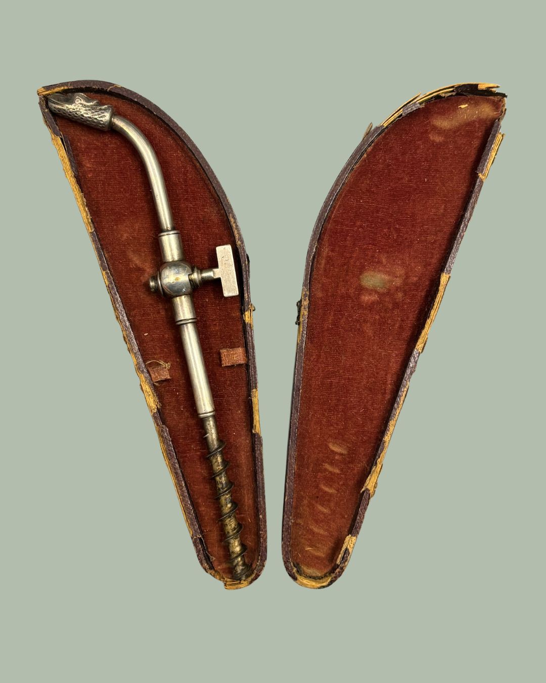 Antique Dragon Head Champagne Tap Corkscrew with Valve, Late 19th Century French Style Champagne Siphon, Original Case ,Thomas Guenther Collection