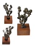 Post war Cast Botanical Sculpture, mid-20th century