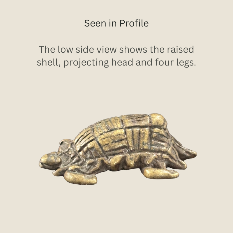 Side view of an Akan copper-alloy tortoise goldweight from Ghana, showing its raised patterned shell, projecting head and four legs.