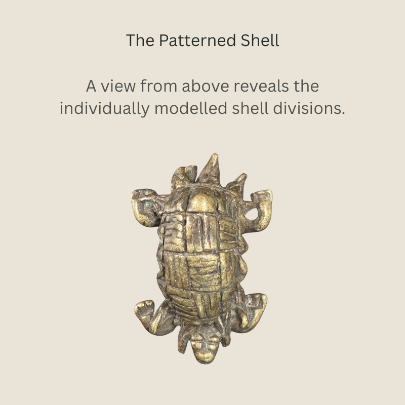 Overhead view of an Akan copper-alloy tortoise goldweight from Ghana, showing the modelled divisions of its shell, four projecting legs and small head.