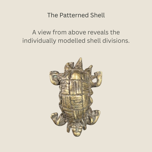 Overhead view of an Akan copper-alloy tortoise goldweight from Ghana, showing the modelled divisions of its shell, four projecting legs and small head.