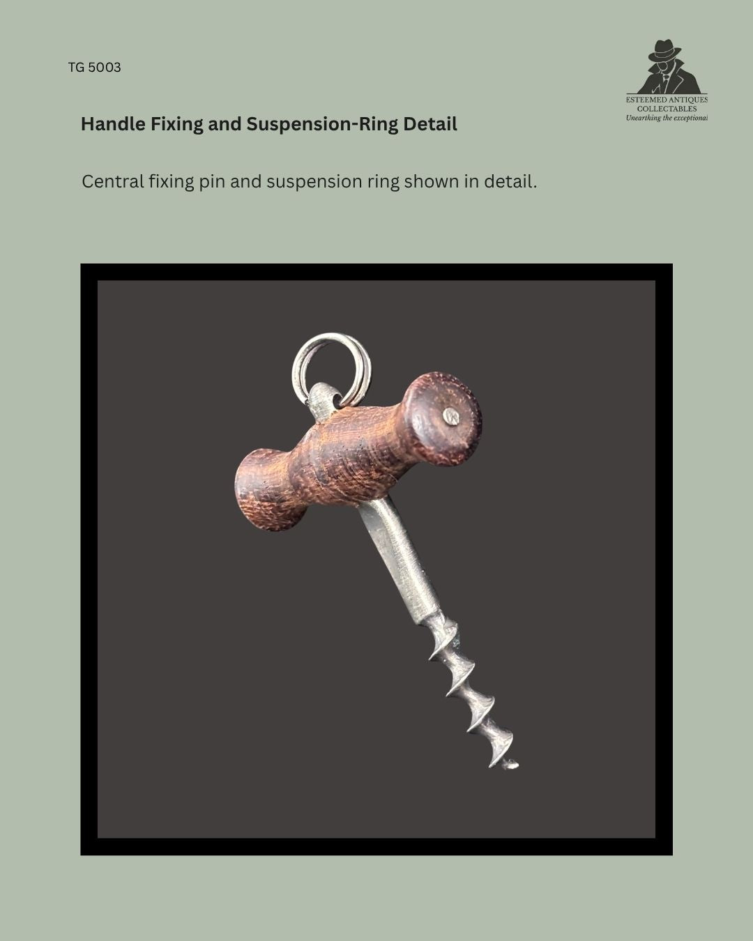 Detail view of antique corkscrew TG 5003 showing the turned wooden handle, central metal fixing pin, suspension ring, steel shank and helical worm.