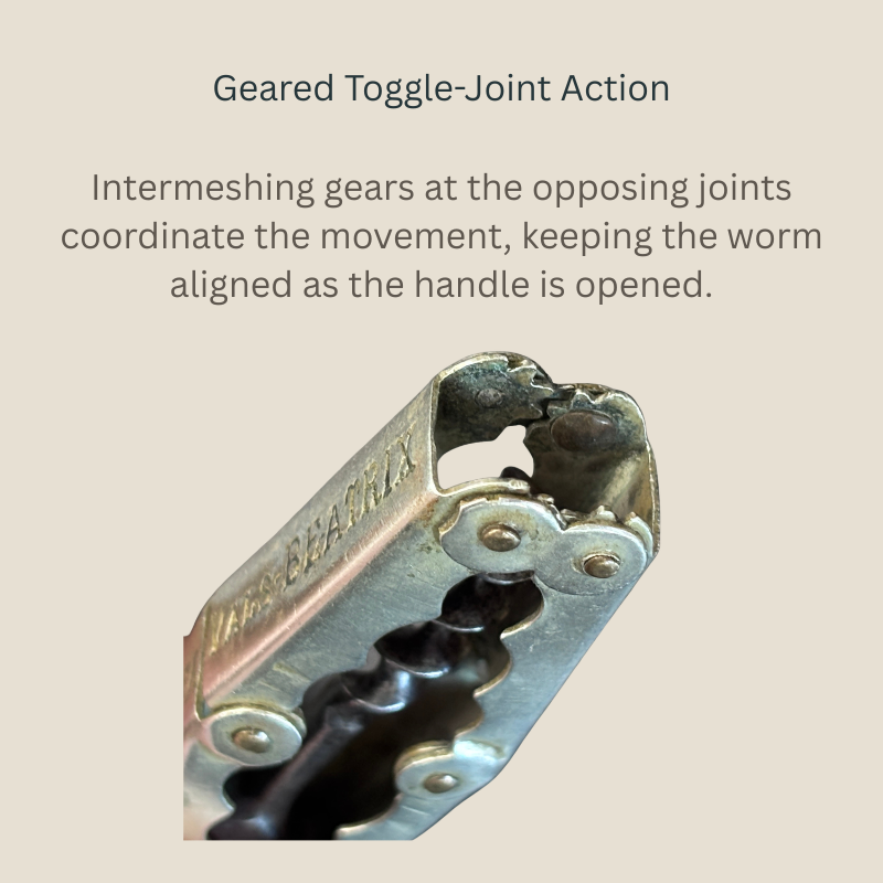 Close-up of the Carl Hollweg collapsing steel corkscrew showing intermeshing gears, riveted toggle joints and the aligned dark steel worm.