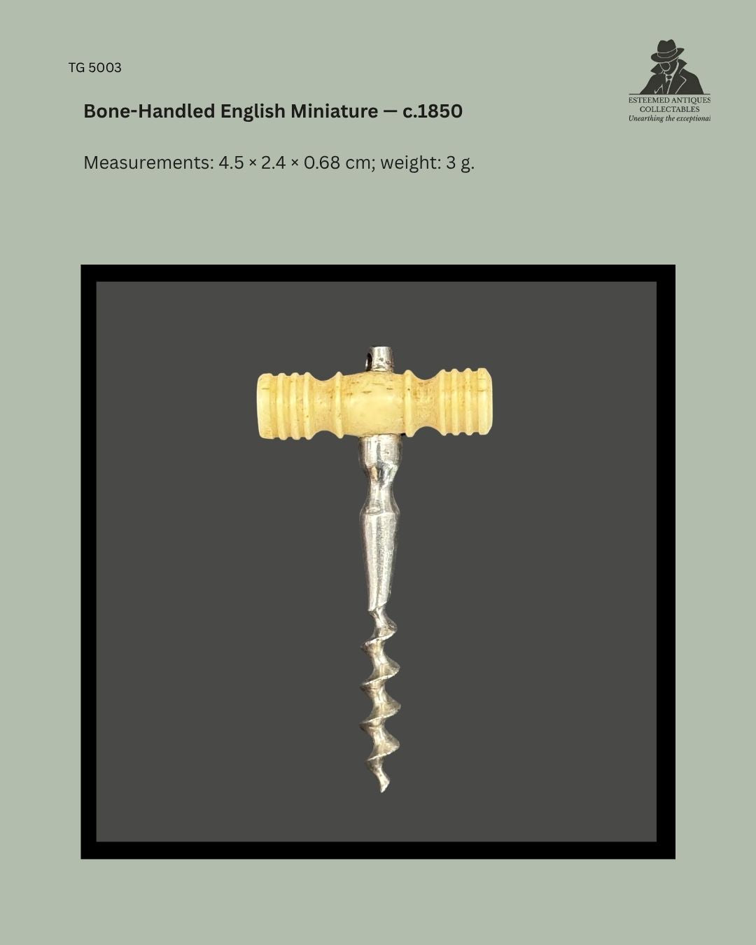 Bone-handled English miniature corkscrew, circa 1850, with a ring-turned T-handle, shaped metal shank and short open-helix worm.