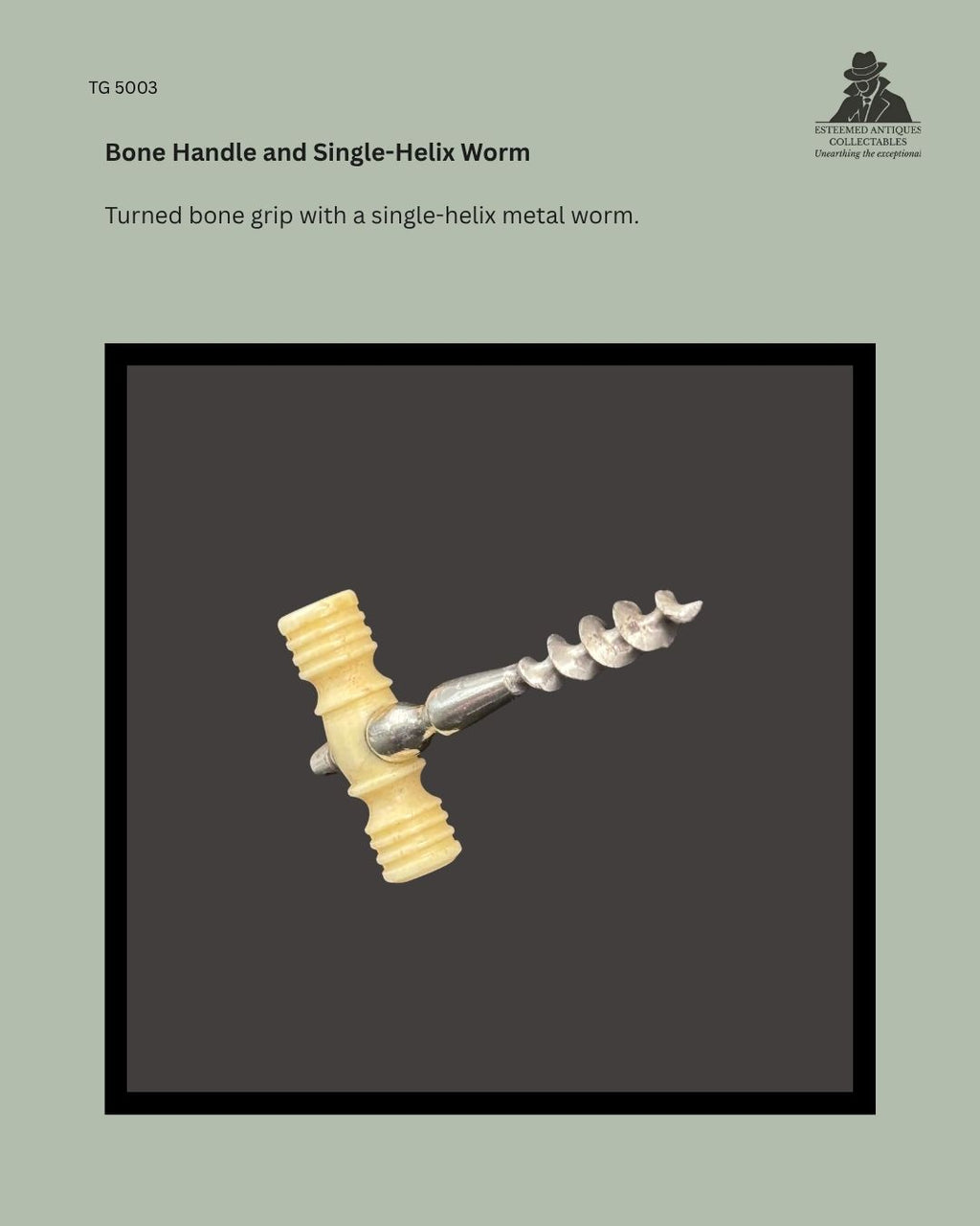 Detail view of a 19th-century miniature corkscrew with a ribbed turned-bone handle, metal shank and single-helix worm.