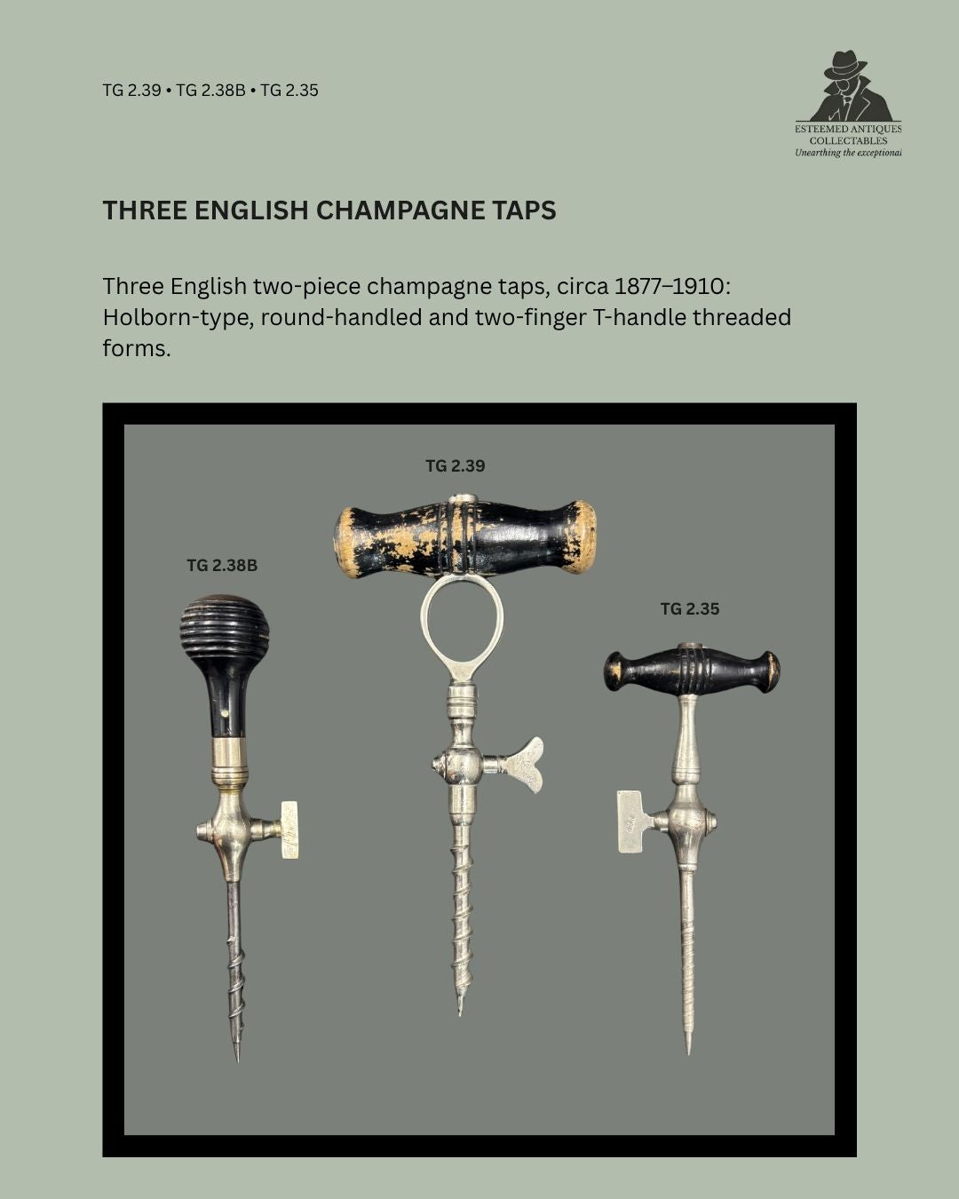 Catalogue panel showing three English two-piece champagne taps, TG 2.39, TG 2.38B and TG 2.35, with wood handles, nickel-plated brass bodies, threaded piercing stems and side valves, circa 1877–1910.
